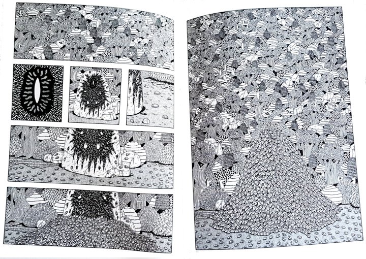 stanislas mousse mater