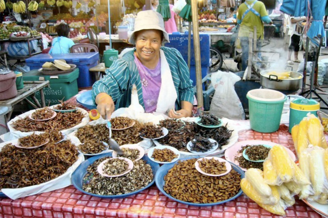 consommation insectes europe