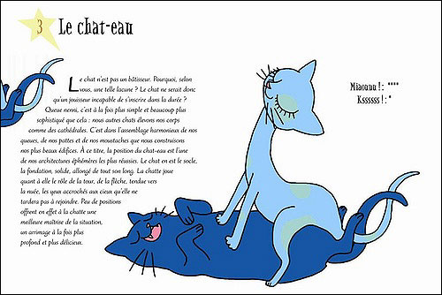 bienvenue chez les corrigan breizh brigade, mo malo, l'auteur aux pseudos, st-malo