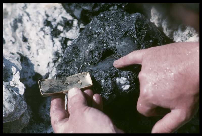 compagnie des indes port-louis