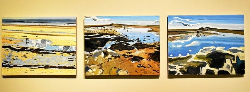 peintures corinne pierre collin, musée des beaux arts, vannes