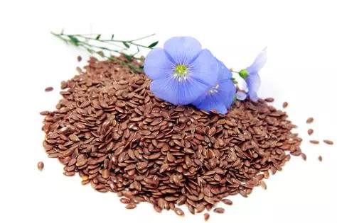 Fête des Tisserands Quintin