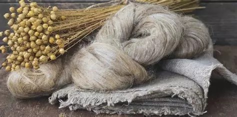 Fête des Tisserands Quintin