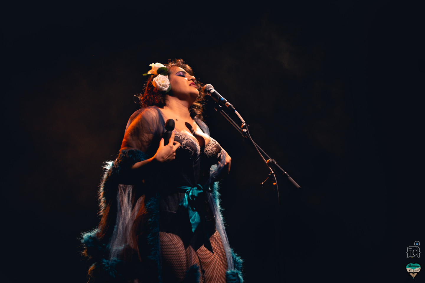 burlesques et vilaines