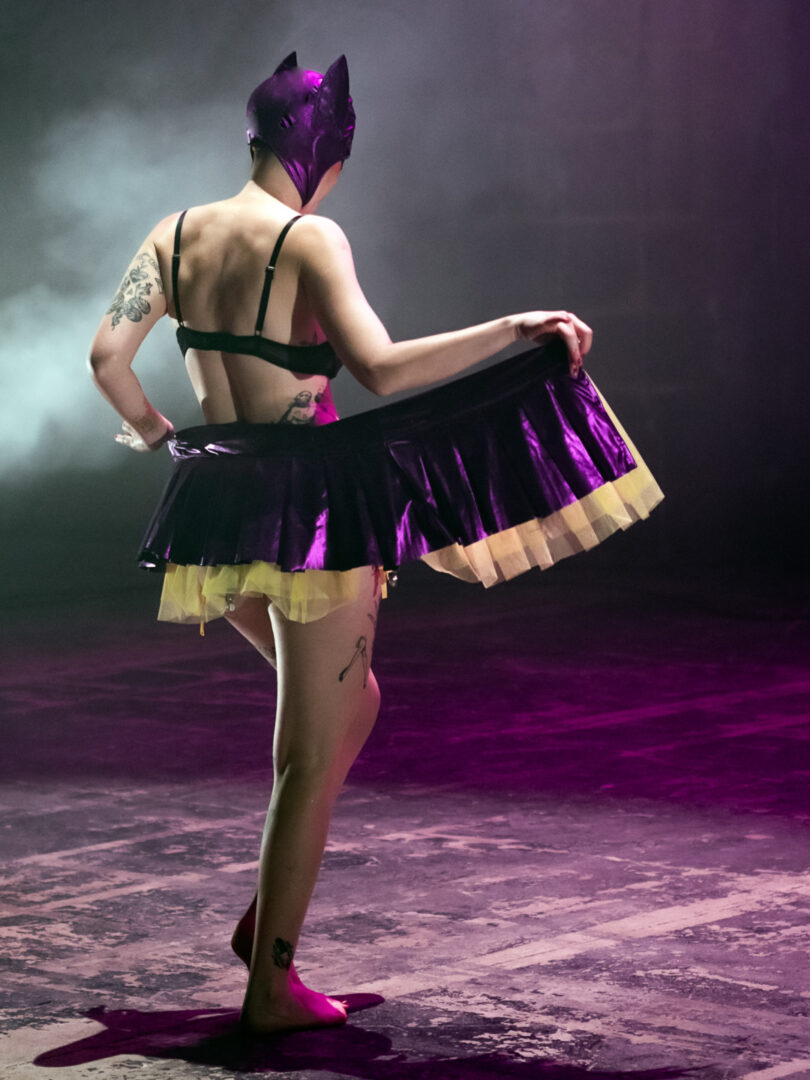 burlesques et vilaines