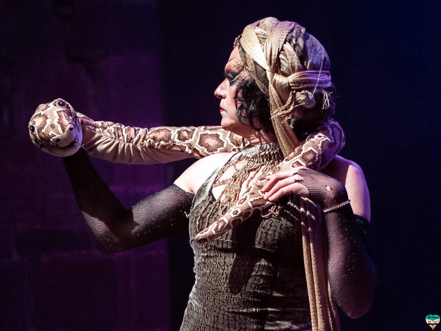 burlesques et vilaines