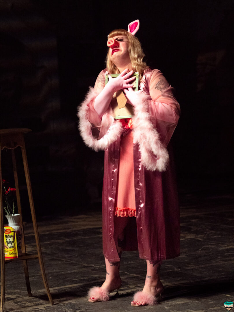 burlesques et vilaines