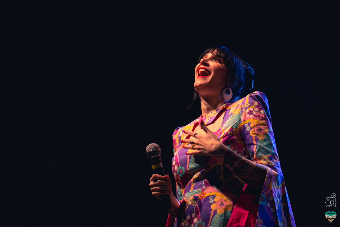 burlesques et vilaines