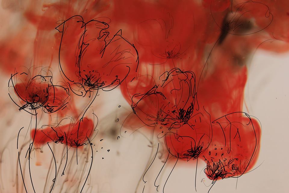 Johanne Gicquel Paysâmes salon du livre Erdeven