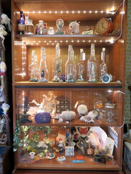 la Petite Boutique des curiosités Corps Nuds Annaïg Delahaye