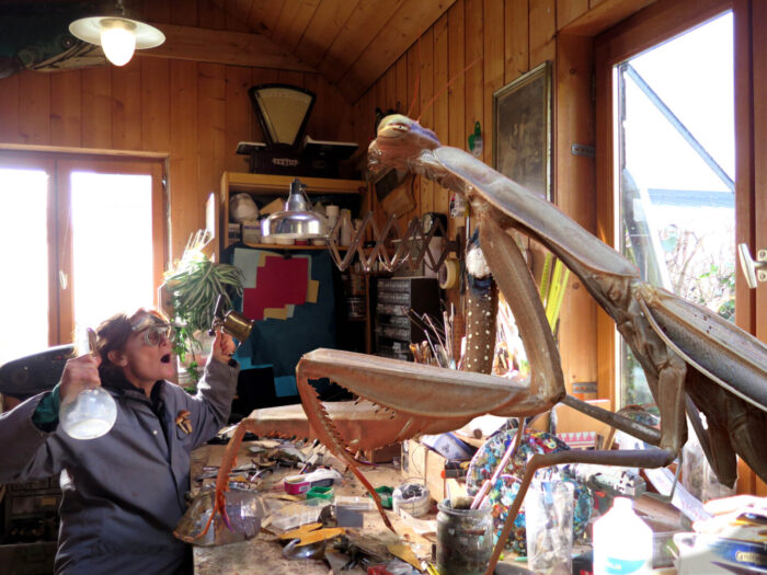 la Petite Boutique des curiosités Corps Nuds Annaïg Delahaye