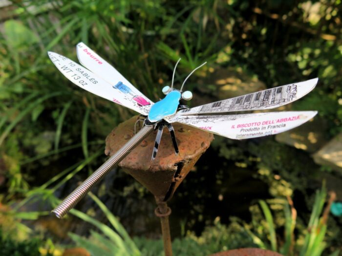 la Petite Boutique des curiosités Corps Nuds Annaïg Delahaye