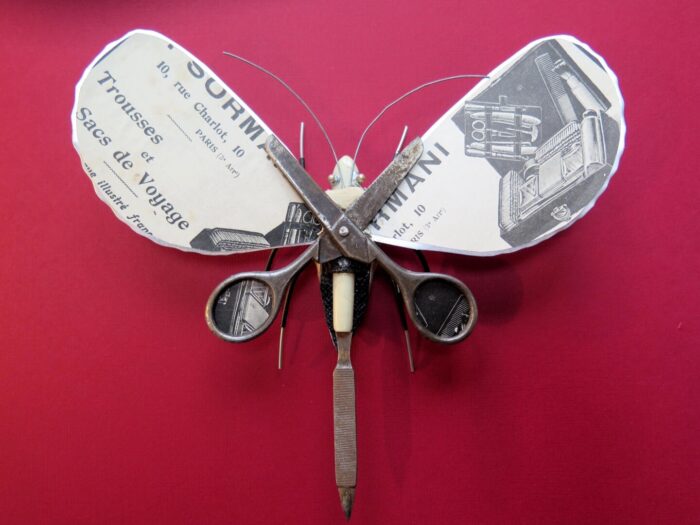 la Petite Boutique des curiosités Corps Nuds Annaïg Delahaye