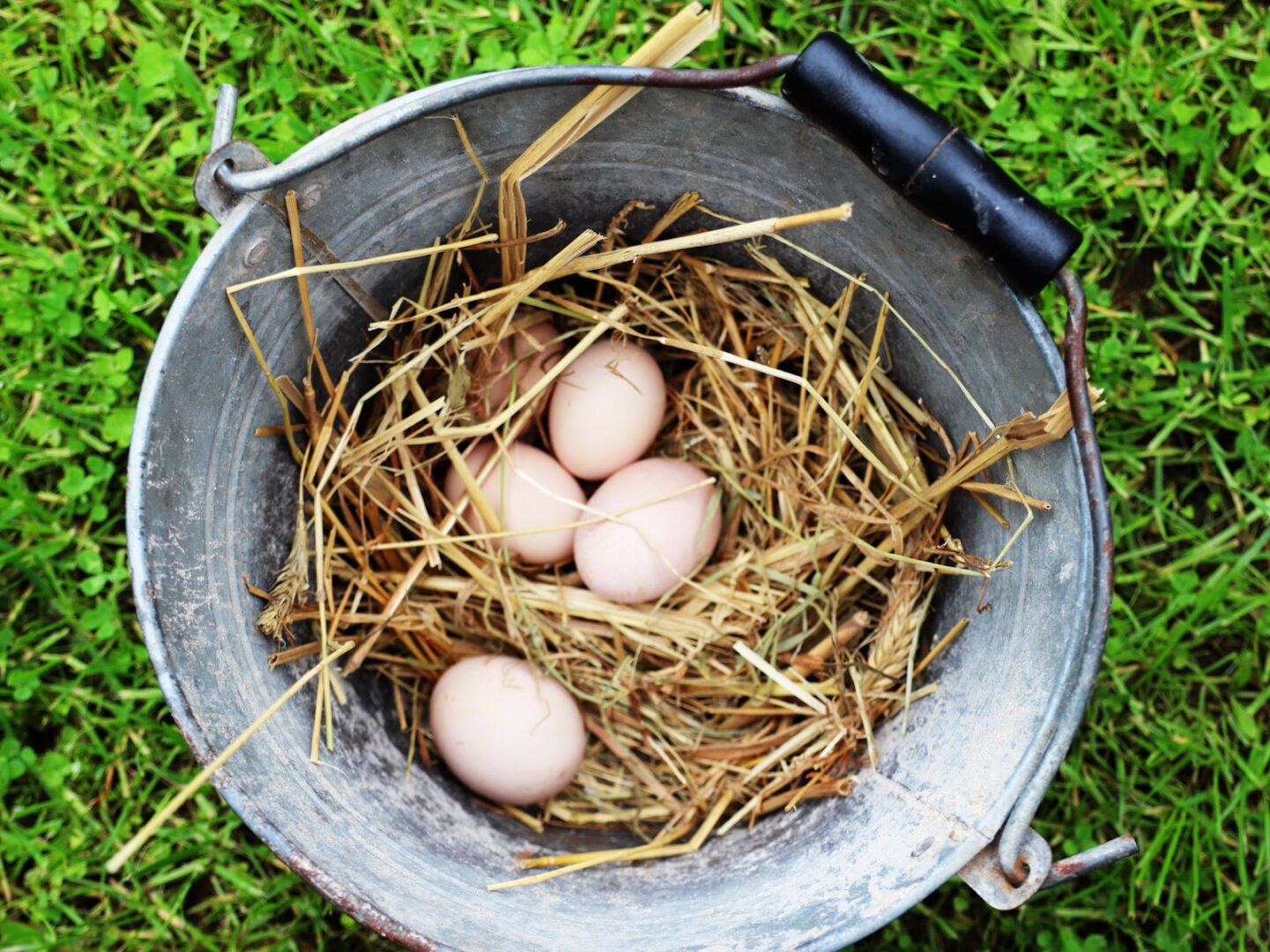 Poul Fétan Quistinic