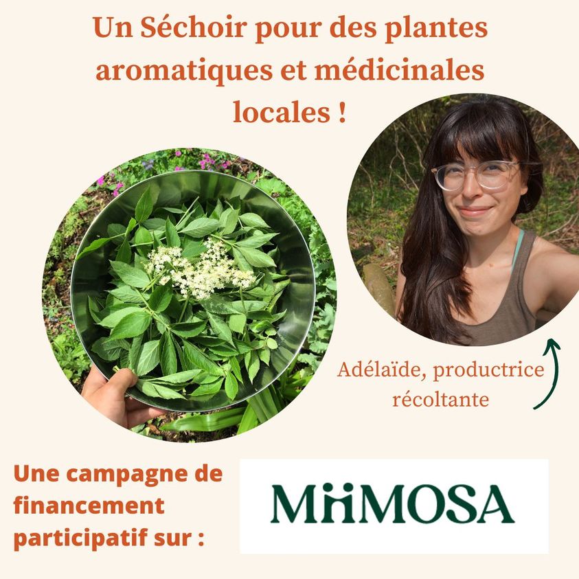 Ty'Zan Adélaïde pruvost Plouargat