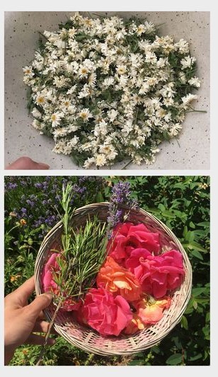 Ty'Zan Adélaïde pruvost Plouargat