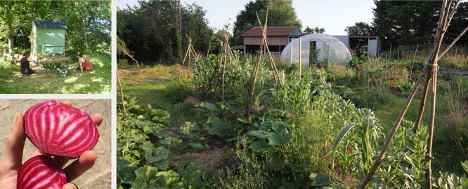 Ty'Zan Adélaïde pruvost Plouargat