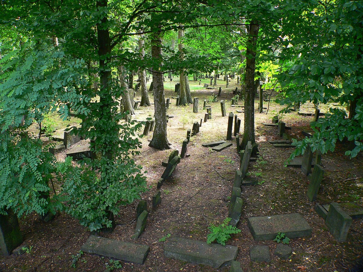 Sur la terre des vivants Déborah Lévy-Bertherat