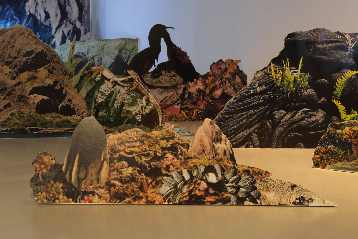 exotic immensity rennes