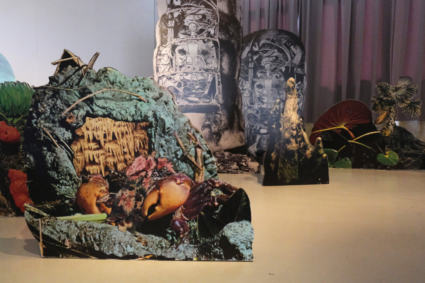 exotic immensity rennes