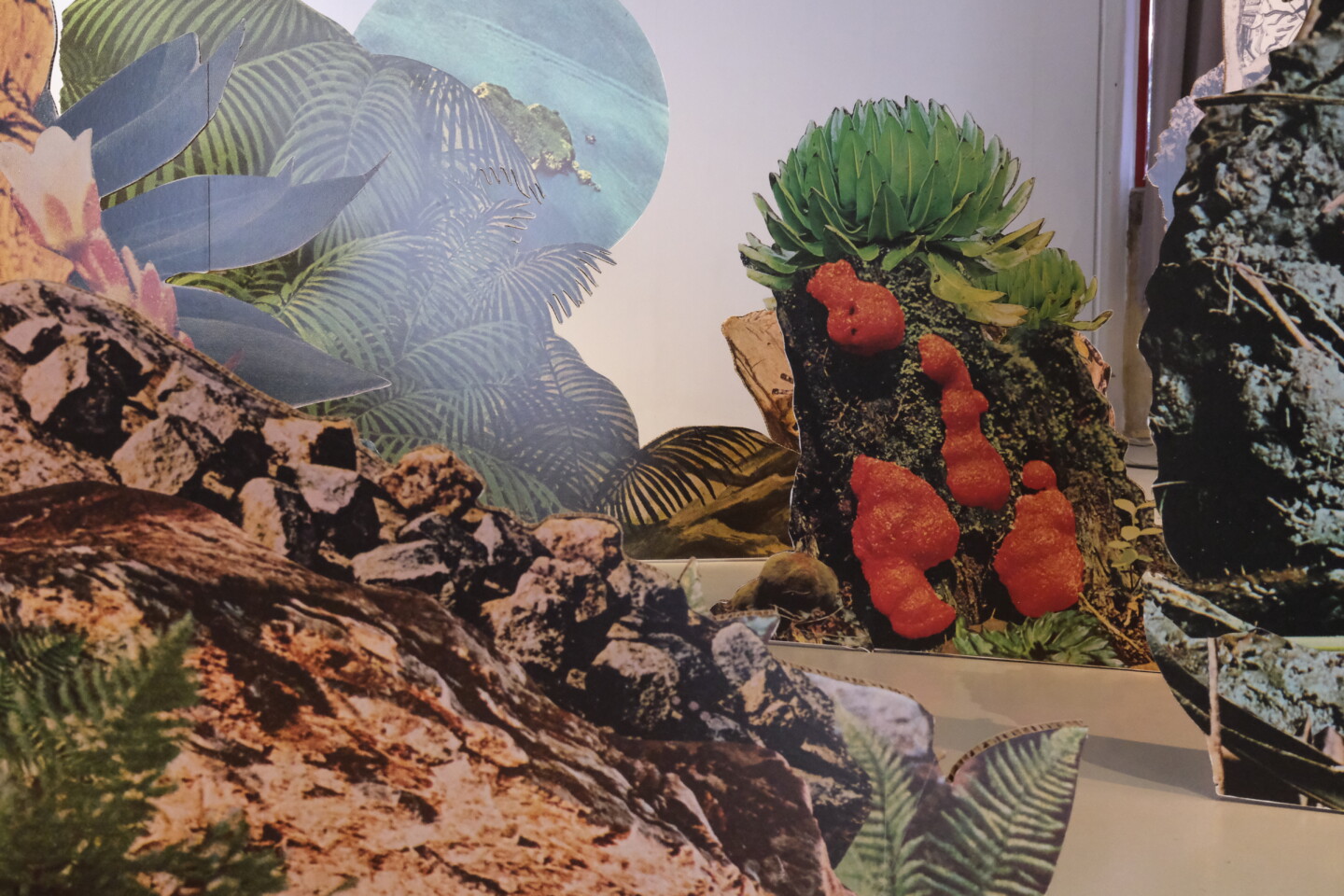 exotic immensity rennes