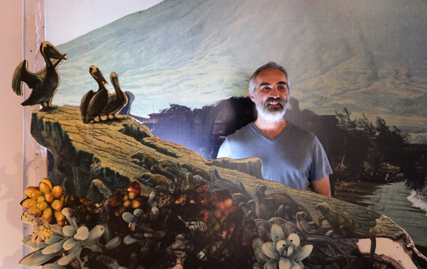 exotic immensity rennes