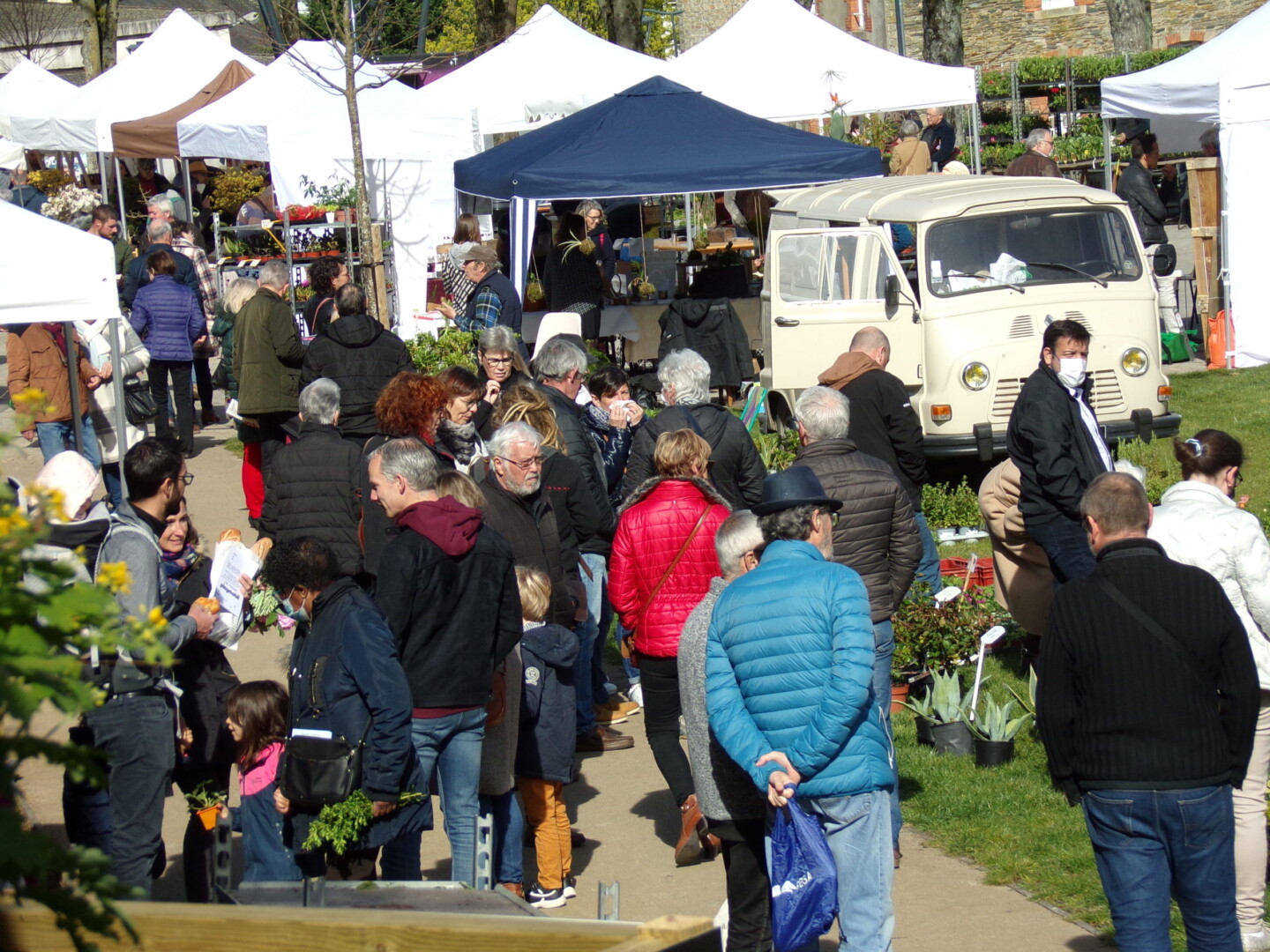 fete vegetal ploermel