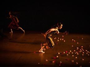 Constellations Catherine Diverrès