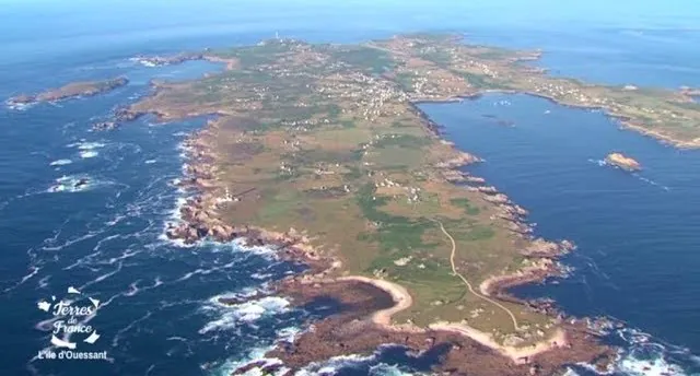 les chèvres sauvages de Ouessant