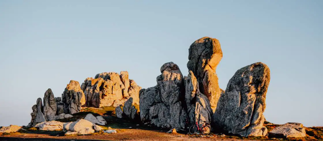 les chèvres sauvages de Ouessant