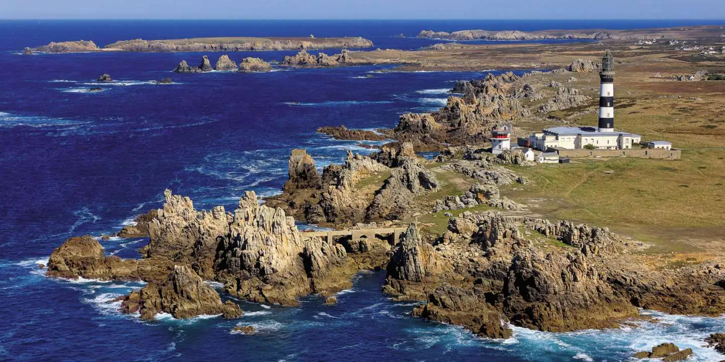 les chèvres sauvages de Ouessant