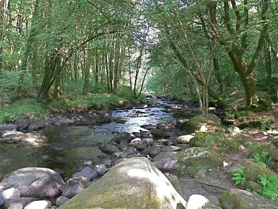 Les plus belles rivières de Bretagne