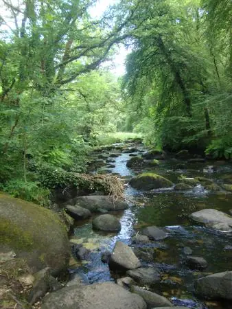 Les plus belles rivières de Bretagne