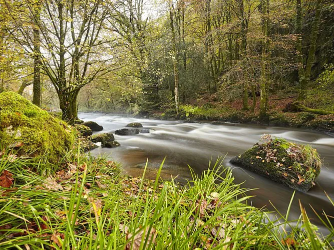 Les plus belles rivières de Bretagne