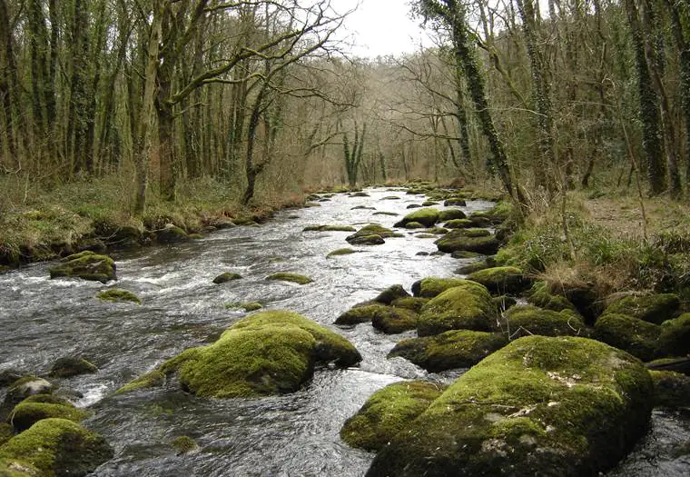 Les plus belles rivières de Bretagne