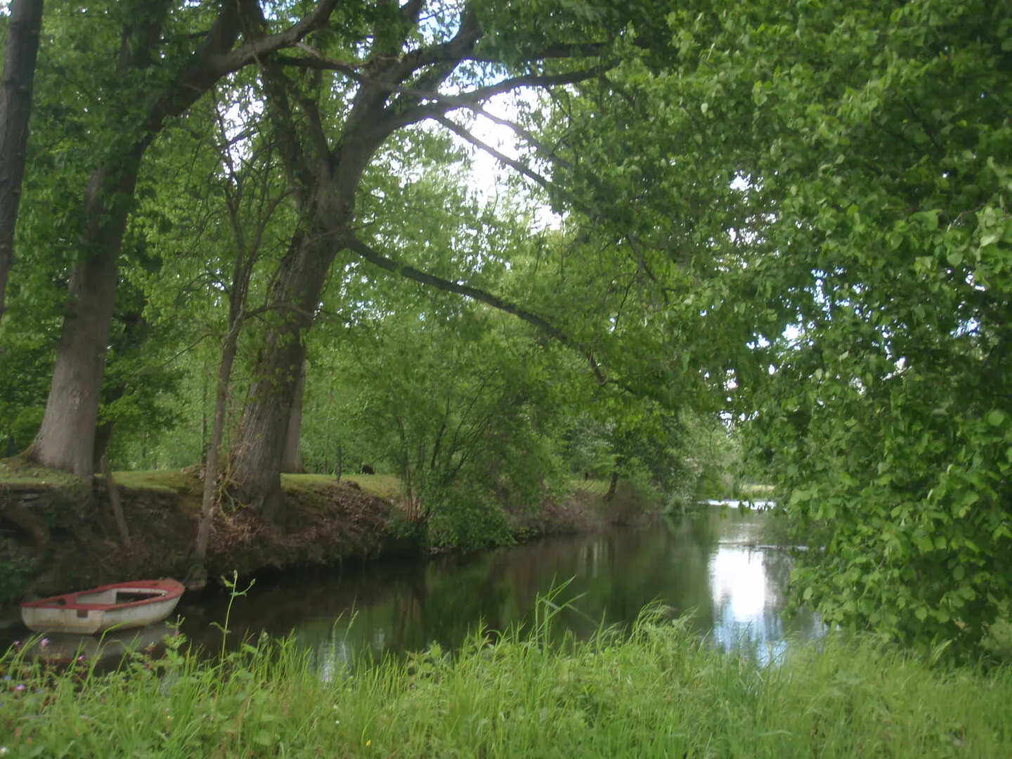 Les plus belles rivières de Bretagne
