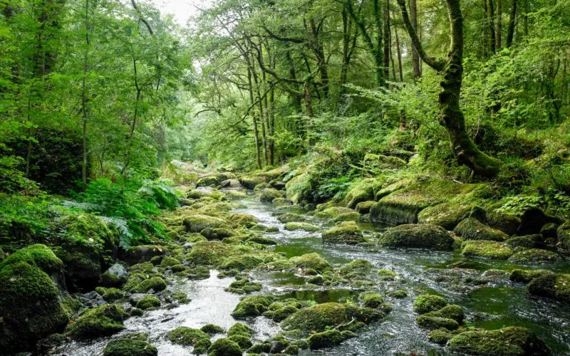 Les plus belles rivières de Bretagne