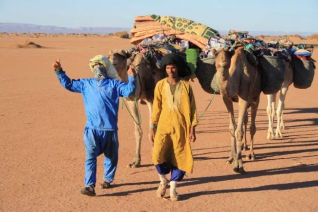 MAROC. Le SAHARA fête les cultures nomades du monde