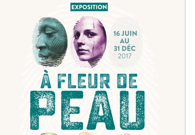 EXPO DAOULAS À FLEUR DE PEAU, FABRIQUE DES APPARENCES