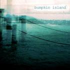 Bumpkin Island. Entretien avec une île bretonne qui émerge et voyage