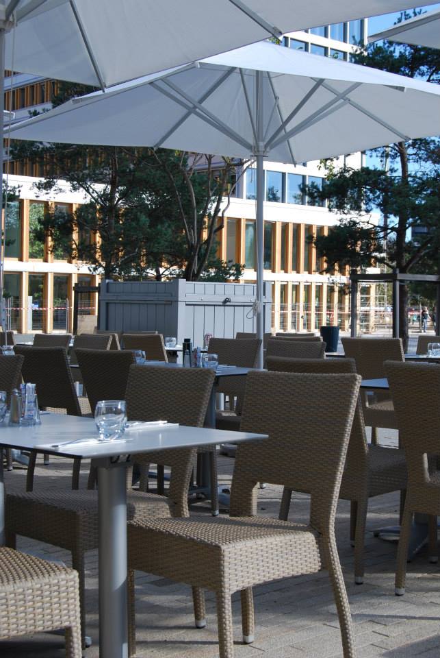 La terrasse du Coin du Monde, Un arbre dans le béton rennais