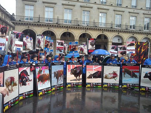 Reportage > Corrida, Les Anti réunis en face de la police anti-émeute