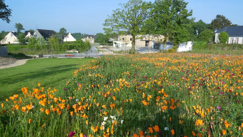 Faîtes des fleurs Missiriac