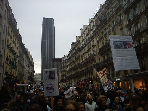 fourrure, marche, vivisection, fourrure, marche, vivsection,