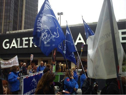 fourrure, marche, vivsection, fourrure, marche, vivsection,