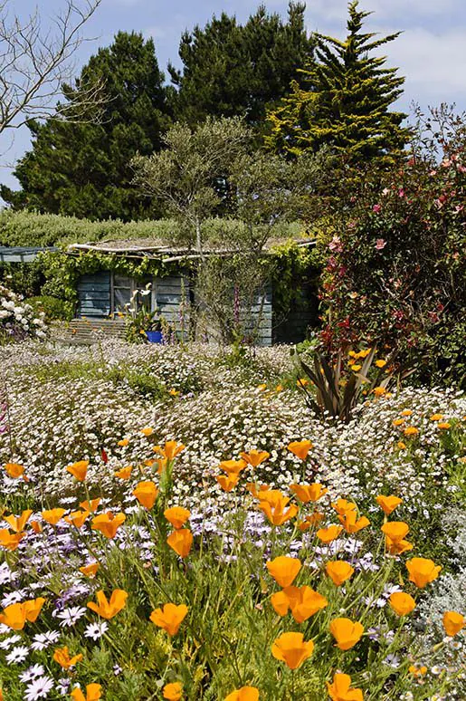 Entretien avec Erik Orsenna, Portrait d’un homme heureux en jardinier