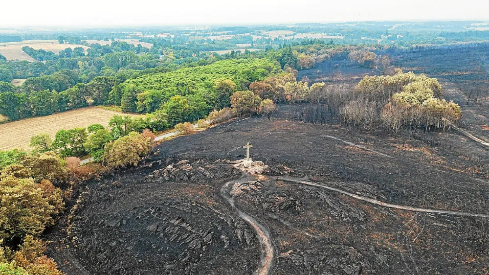 foret brocéliande