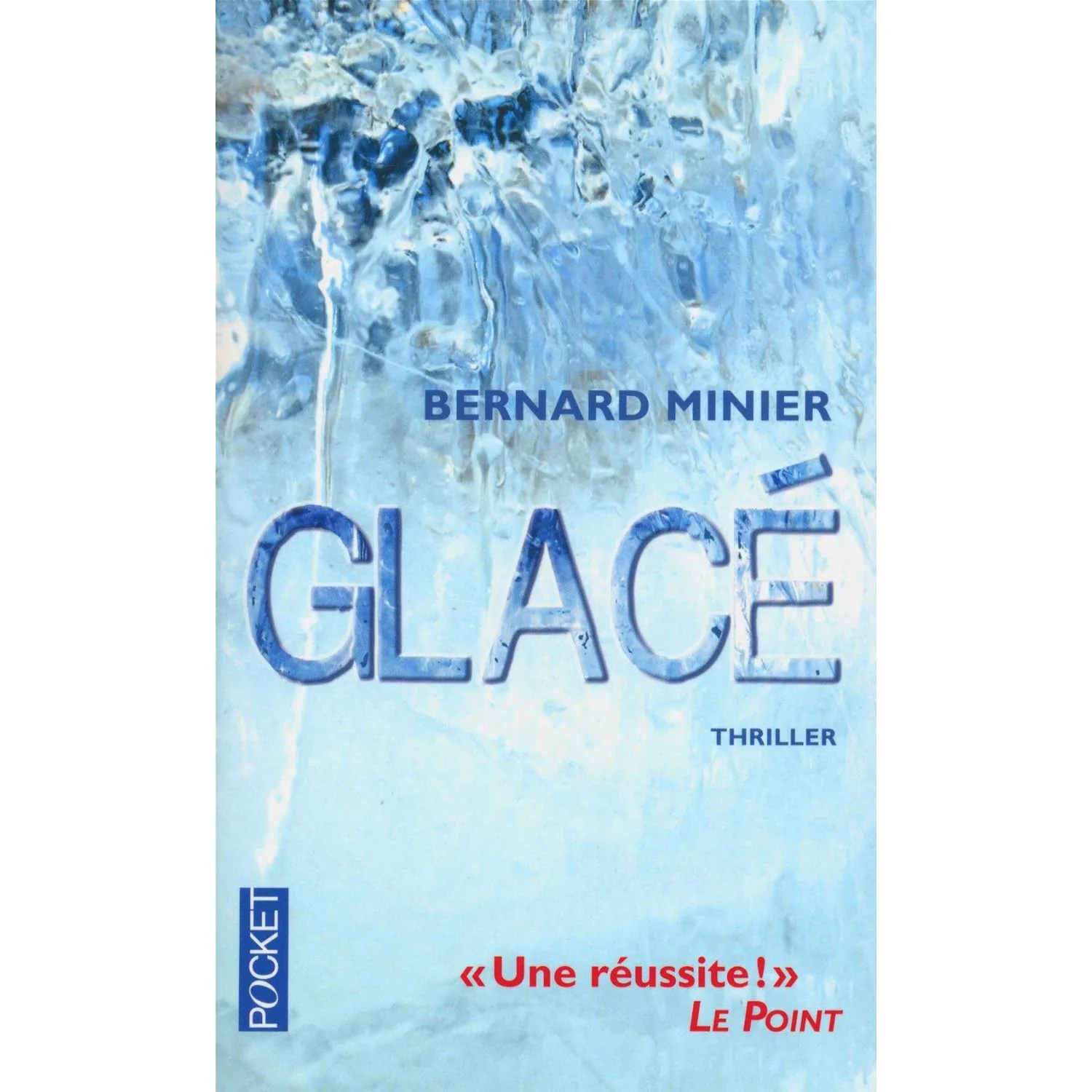 Glacé de Bernard Minier, un roman glaçant !