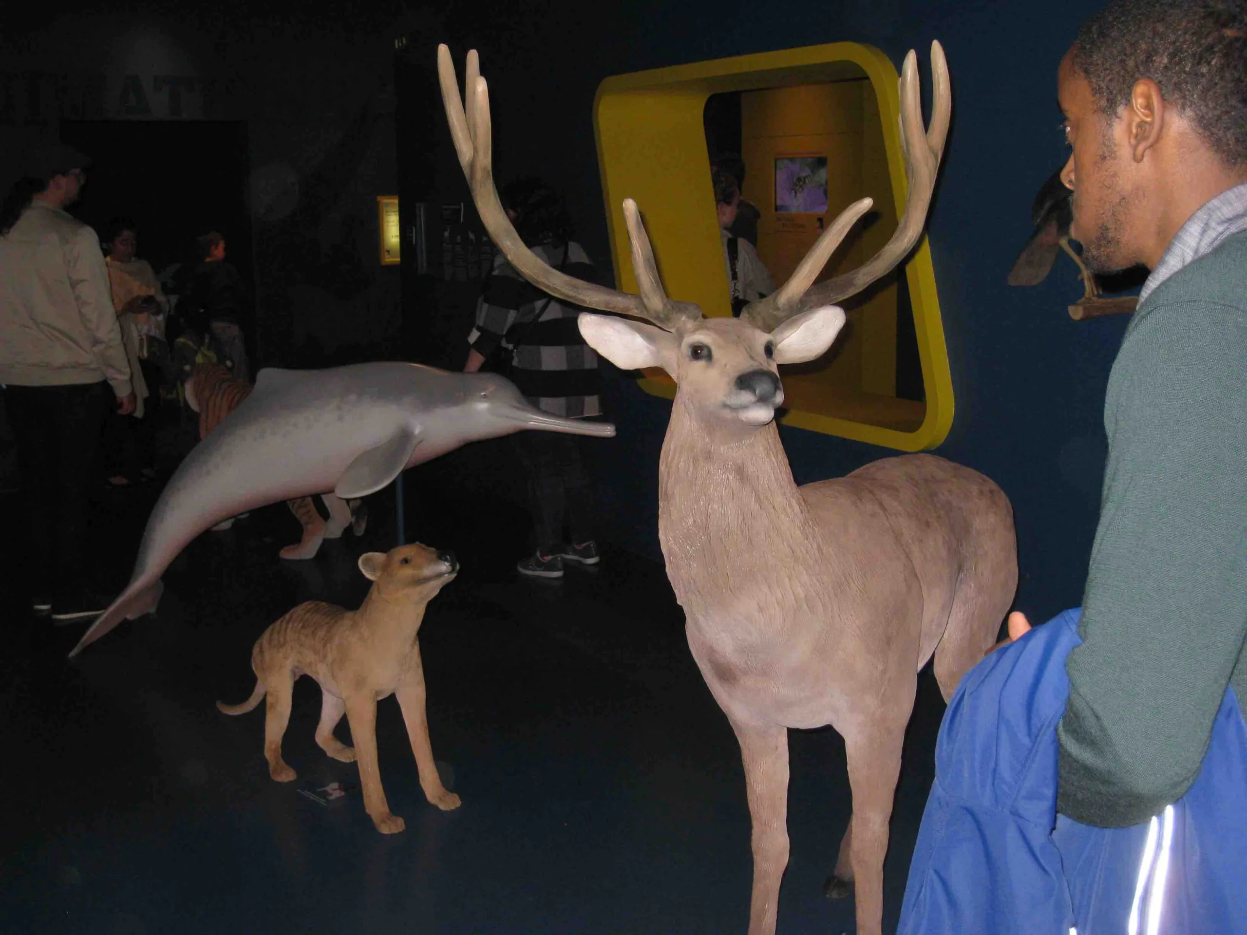 Nuit des musées à Rennes, promenade familiale aux Champs Libres