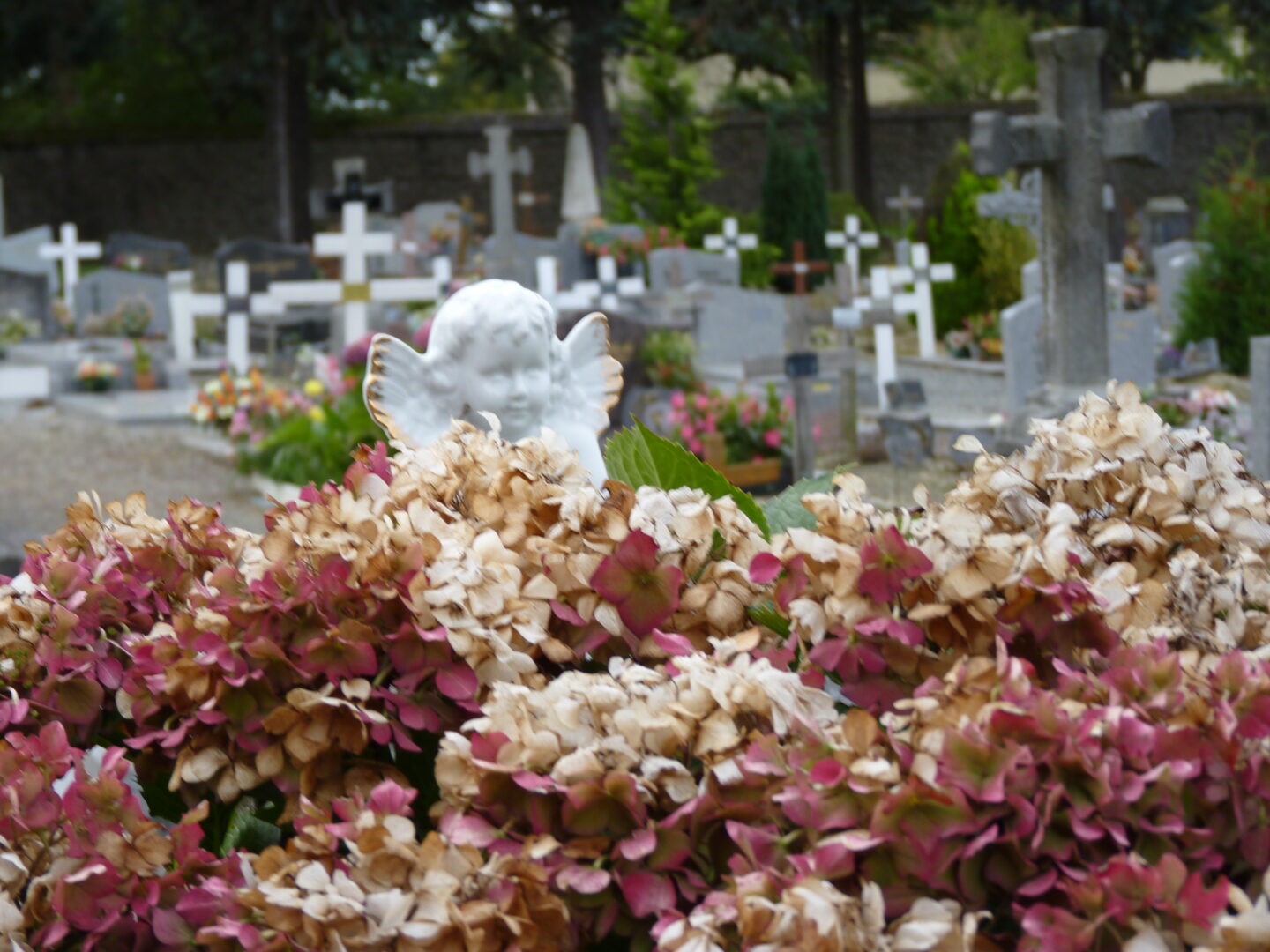 Rennes > Un sérieux coup de jeune pour le Cimetière